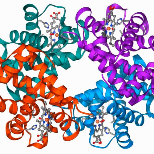 Clinical trial shows gene editing works for...