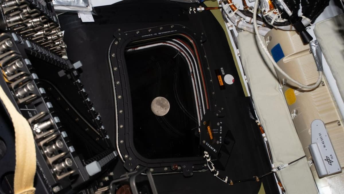 NASA's Artemis 2 astronauts just flew by the...