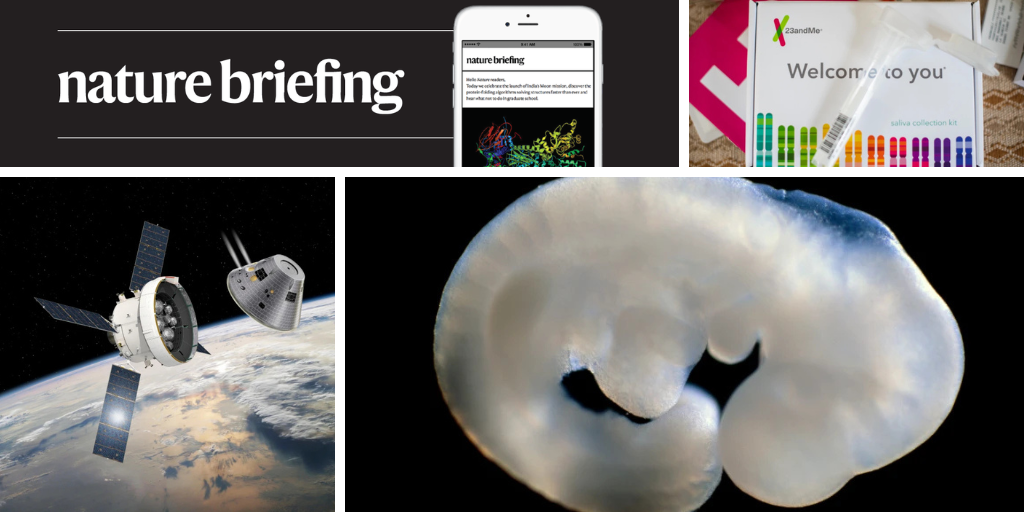 Daily briefing: A treatment to reverse cellular...