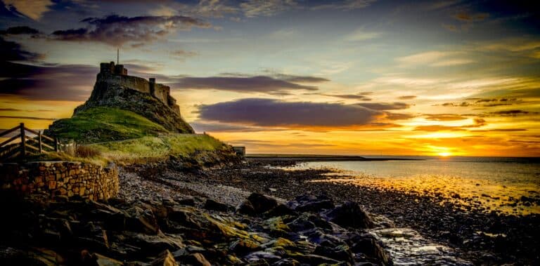 On the 1966 Poem That Warns of Bio-Acoustic...