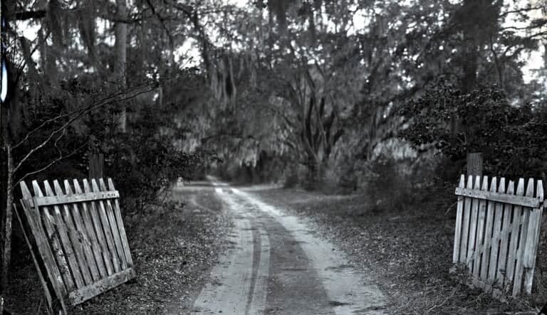 On Learning About the Enslaved Men Who Dug South...