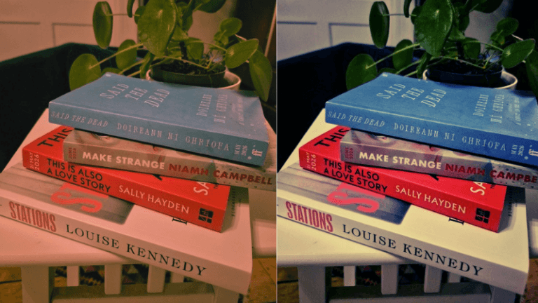 The Annotated Nightstand: What Anne Enright is...