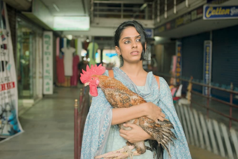 India’s PVR Inox Eyes Indie Distribution Pipeline...