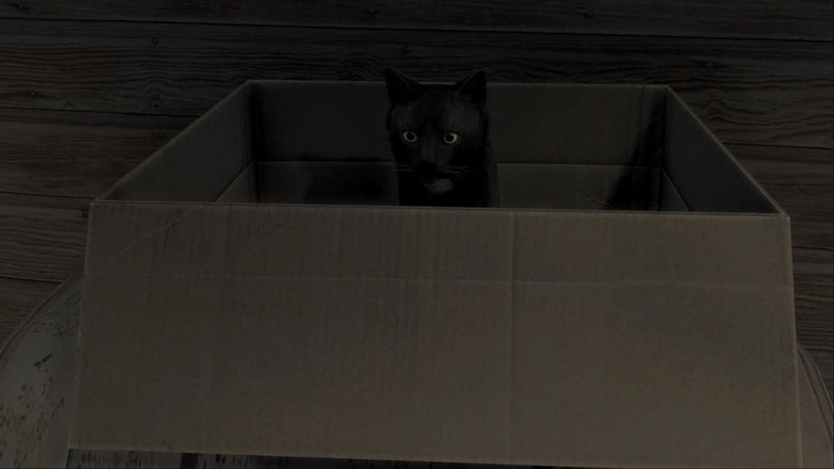 How to get a cat in Road to Vostok
