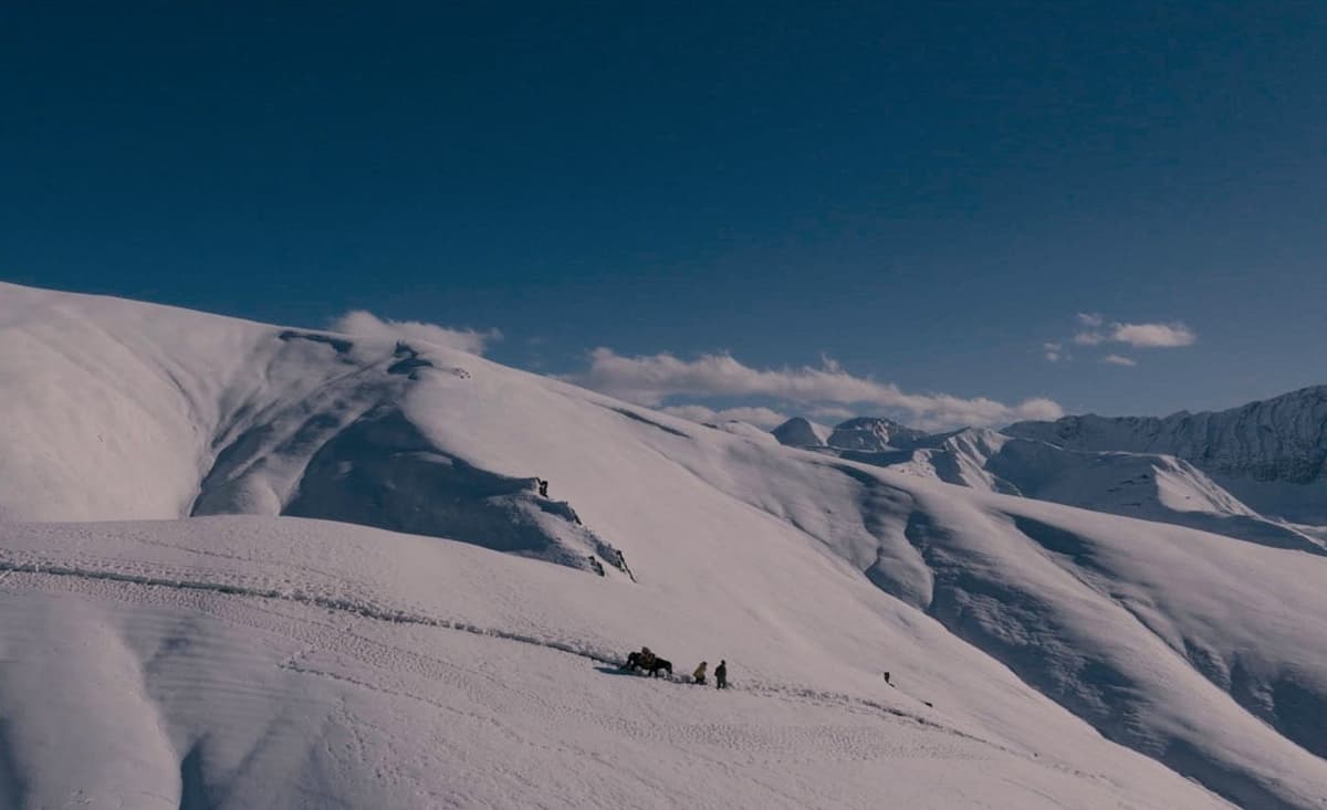 Appian Way Boards Conservation Doc ‘Snow Leopard...