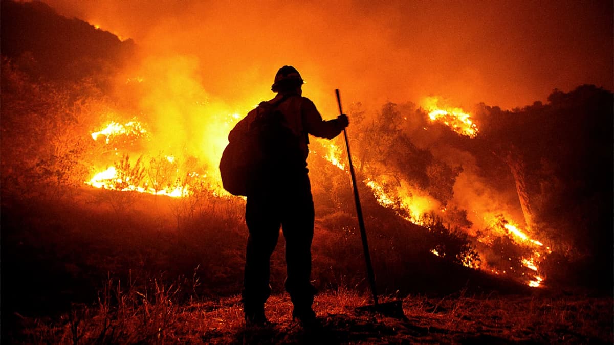 The US Forest Service is closing down research...