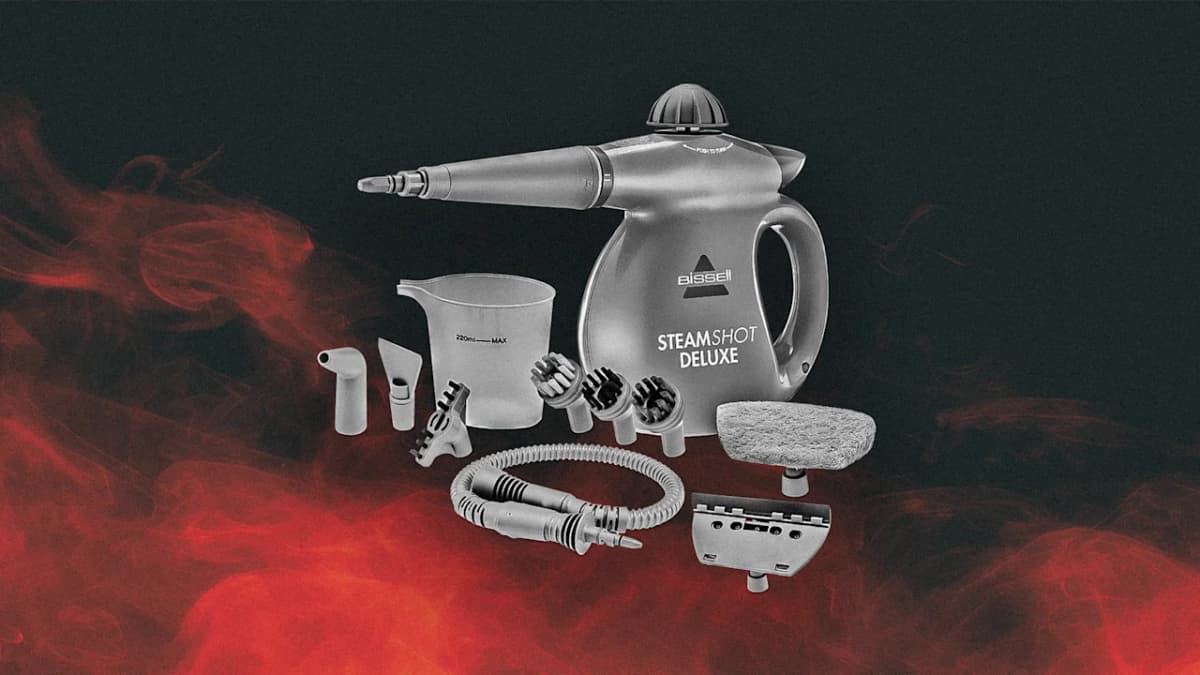 Steam cleaners sold at Walmart and Target...