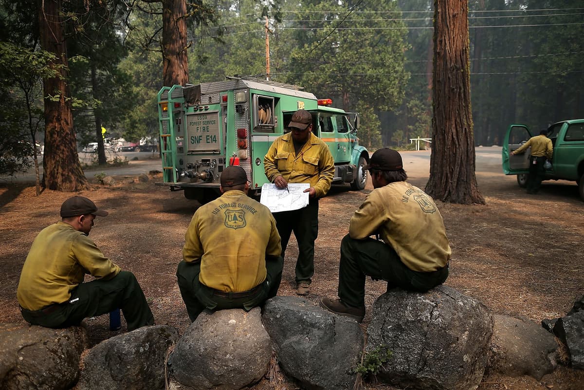 What Trump’s Reorganization of the Forest Service...