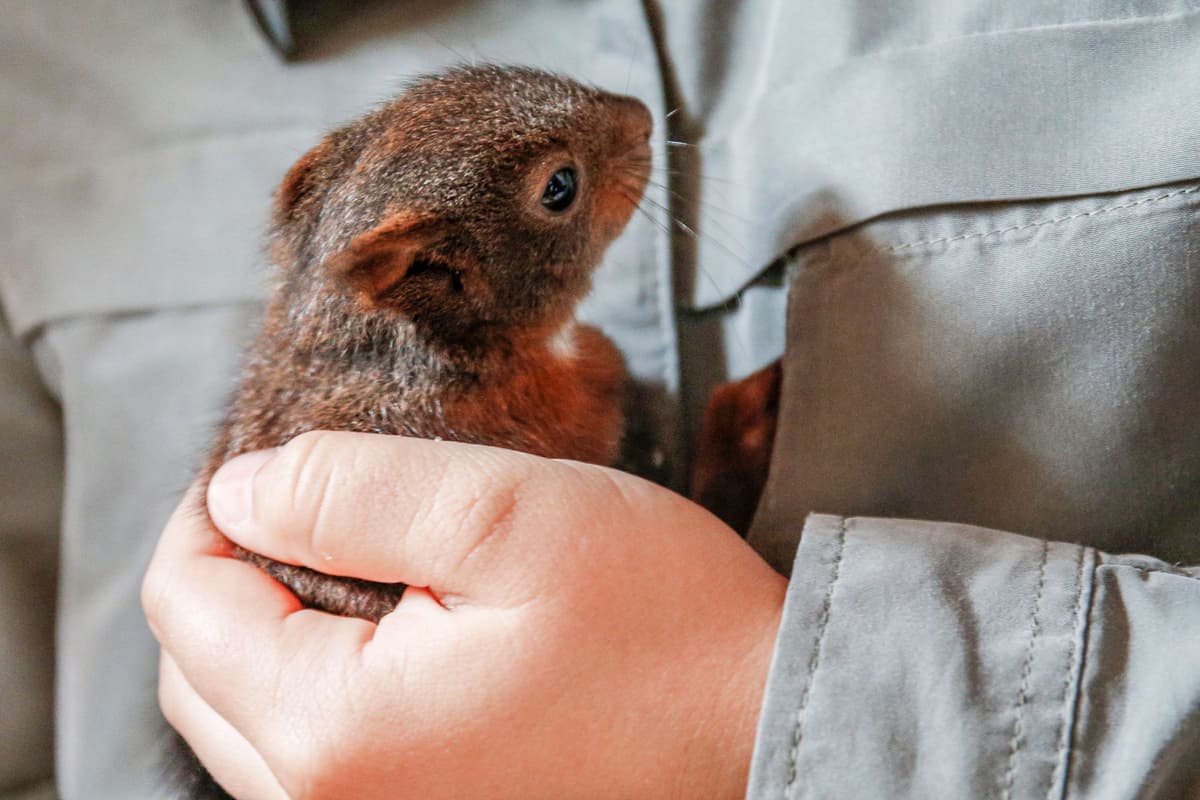 So Sorry—I Was Just Reminded of My Own Mortality