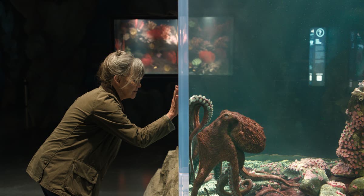 Netflix's new talking octopus movie might wrexk...