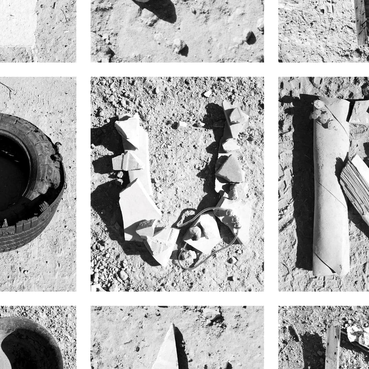 Poetry Review: ‘Creature Feature,’ by Dean Young