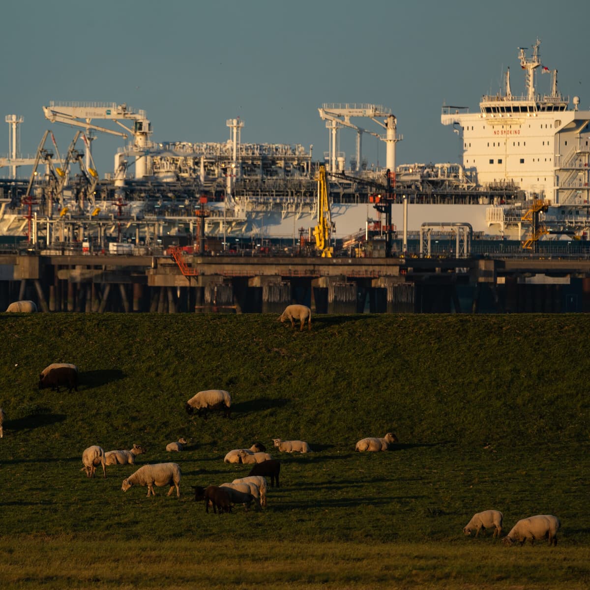 Fallout of War Piles Economic Pain Onto Europe’s...