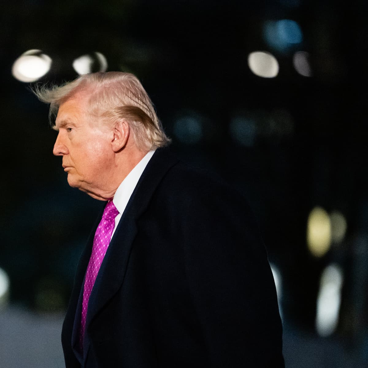 Burned Before, Democrats Abruptly Revive the Idea...