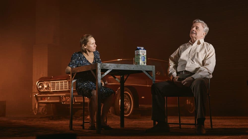 ‘Death of a Salesman’ Broadway Review: Nathan...