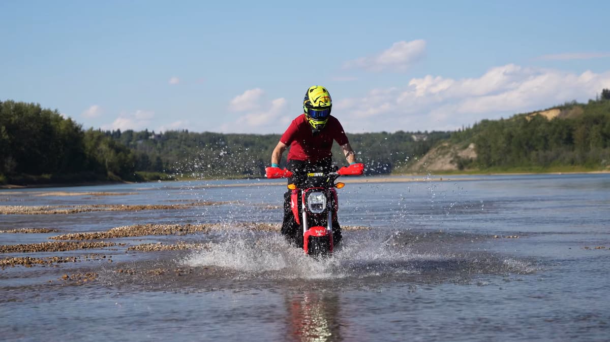 Getting Dirty With A Grom Is More Fun Than You...
